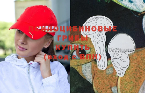 дживик Мегион
