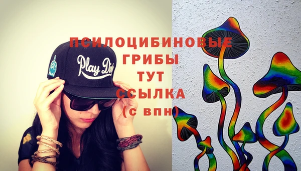эйфоретик Медвежьегорск
