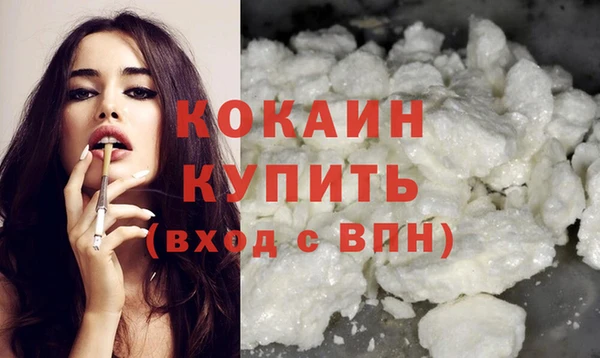 дживик Мегион
