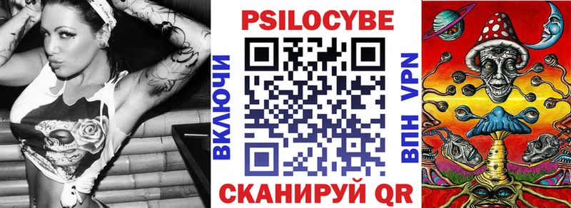 kraken вход  Майкоп  Псилоцибиновые грибы Psilocybe 