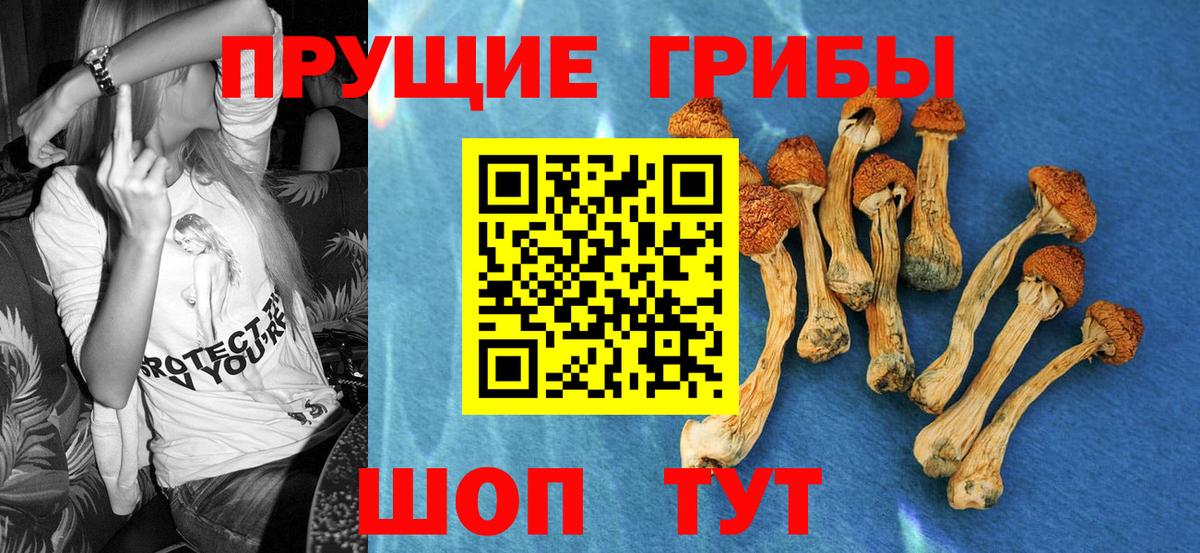Галлюциногенные грибы MAGIC MUSHROOMS  Вход с VPN  Майкоп 