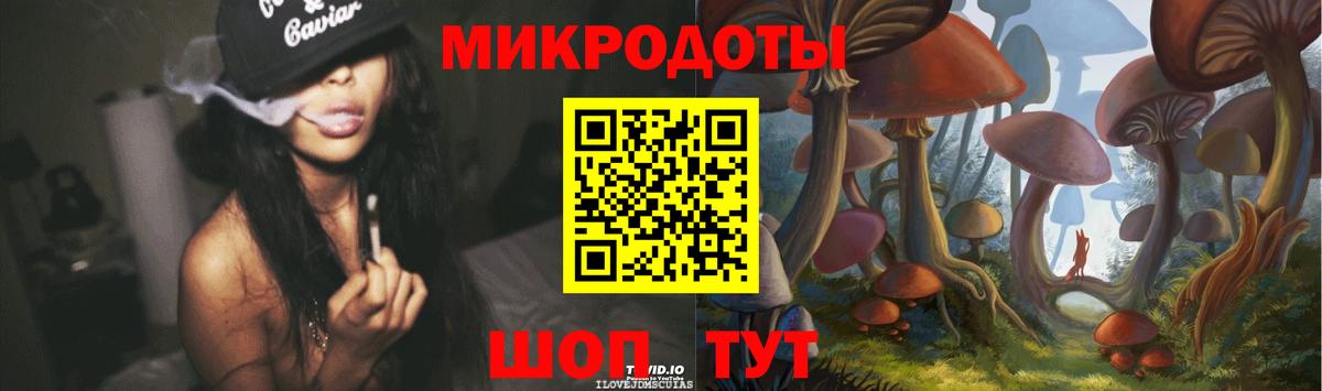 Псилоцибиновые грибы Psilocybine cubensis  Майкоп  Галлюциногенные грибы GOLDEN TEACHER 