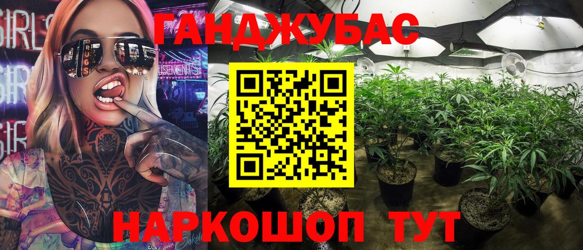 Шишки марихуана семена Майкоп